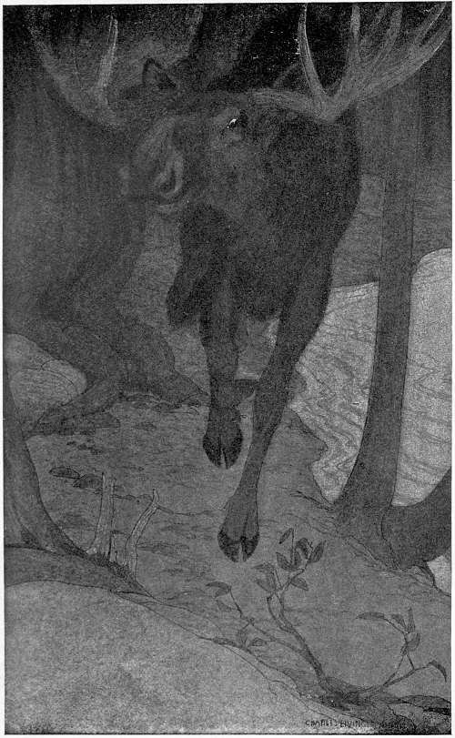 &ldquo;STARTED IN MAD HASTE DOWN THE SHORE.&rdquo;