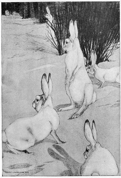 &ldquo;ALL THE PLAYERS WERE MOTIONLESS, WITH EARS ONE WAY.&rdquo;