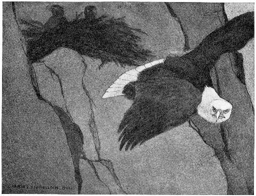 &ldquo;HE SAW HIS WIDE-WINGED MATE, TOO, LEAVE THE NEST.&rdquo;