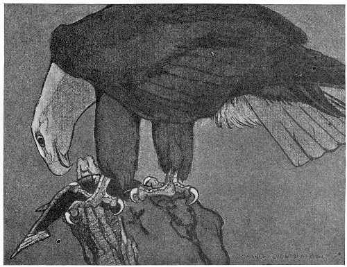 &ldquo;HOLDING THE FISH FIRMLY IN THE CLUTCH OF ONE GREAT TALON.&rdquo;