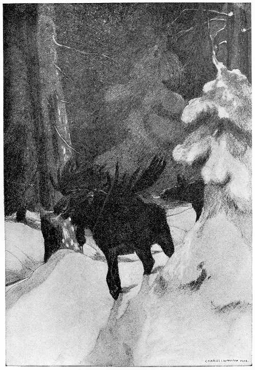 &ldquo;LED HIS HERD OFF NORTHWARD.&rdquo;