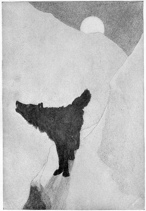 &ldquo;STOOD FOR A MOMENT TO SNIFF THE AIR.&rdquo;