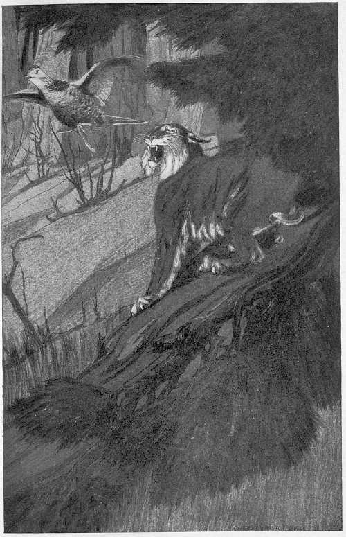 &ldquo;A GREAT LYNX LANDED ON THE LOG.&rdquo;