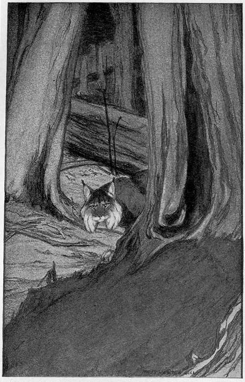 &ldquo;PRESENTLY THE LUCIFEE AROSE AND BEGAN CREEPING STEALTHILY CLOSER.&rdquo;