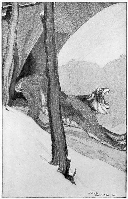 &ldquo;YAWNED HUGELY, AND STRETCHED HERSELF LIKE A CAT.&rdquo;