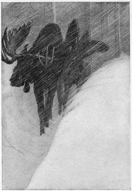 &ldquo;THICK PILED THE SNOWS ABOUT THE LITTLE HERD.&rdquo;