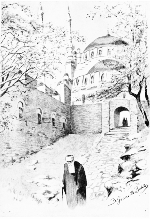The Mosque of Mohammed
Built to commemorate the Conqueror of Constantinople. He lies buried
under the shadow of this Mosque.