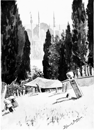 The Mosque of Suleiman and the Tower of the War Office
Seen from the height where stands the wireless telegraphy station.