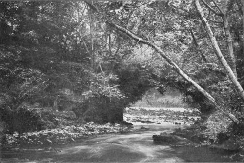 CARNISK BRIDGE AND SALMON-LEAP
(IN LOW WATER), NEAR RAMELTON, COUNTY DONEGAL