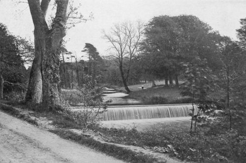WATER-FALL IN THE MARQUIS OF
SLIGO'S DEMESNE, WESTPORT, COUNTY MAYO