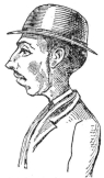 THE PORTRAIT WHICH LED TO LEFROY’s ARREST (p. 12).

(By permission of the “Daily Telegraph.”)