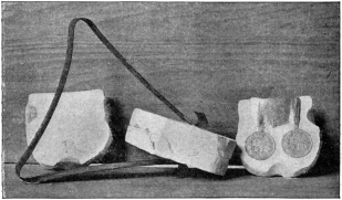 Photo: Cassell & Co., Ltd.

COINERS’ MOULD IN THE BLACK MUSEUM, ONE IN SEPARATE PARTS, THE OTHER
CLOSED AND HELD IN POSITION BY A SPRING.