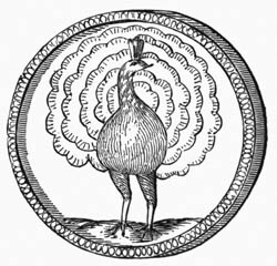Illustration: Fig. 46.&mdash;Symbolical Peacock.