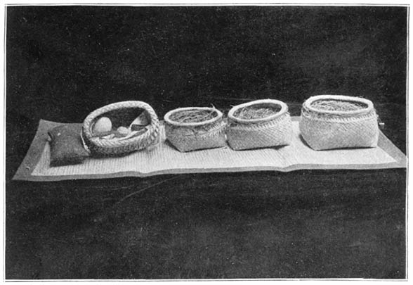 Plate 5.&mdash;Rice-Soul Baskets.