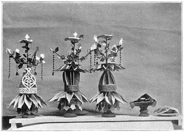 Plate 14.&mdash;Poko&rsquo; sirih.