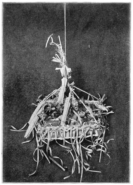 Plate 17.&mdash;Anchak.