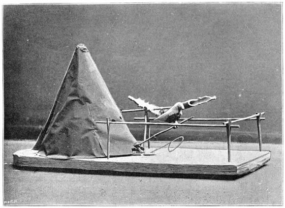 Plate 4.&mdash;Pigeon Decoy Hut.