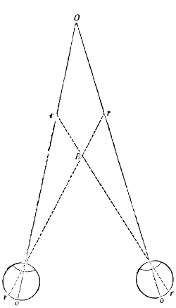 the symmetry of the rays