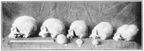 Image unavailable: 1. A Hawaiian. 2-4. Skulls from Choqquequirau. 5. A
Flat-head Indian.

6. Bola found at Choqquequirau. 7. Whirl-bob.

8. Jar found in a grave, Choqquequirau.