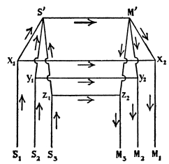Fig. 7.—Diagram of Nervous Architecture: Reflex Arches
connected by a Low Nerve Center.

(From Psychological Review, 15, 1908.)