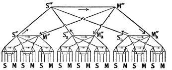 Fig. 9.—Diagram of Nervous Architecture: Higher Nerve
Centers connected by a Still Higher Center.