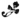 [Image of text decoration
unavailable.]
