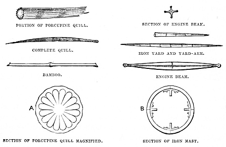 Image unavailable: PORTION OF PORCUPINE QUILL.
COMPLETE QUILL.
BAMBOO.
SECTION OF PORCUPINE QUILL MAGNIFIED.
SECTION OF ENGINE BEAM.
IRON YARD AND YARD-ARM.
ENGINE BEAM.
SECTION OF IRON MAST.