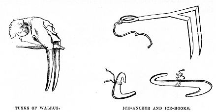 Image unavailable: TUSKS OF WALRUS.
ICE-ANCHOR AND ICE-HOOKS.