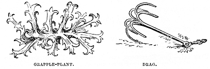 Image unavailable: GRAPPLE-PLANT.
DRAG.