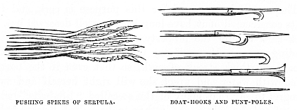 Image unavailable: PUSHING SPIKES OF SERPULA.
BOAT-HOOKS AND PUNT-POLES.