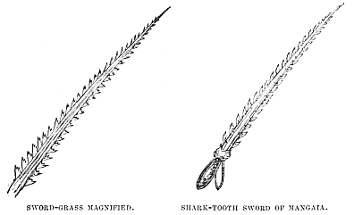 Image unavailable: SWORD-GRASS MAGNIFIED.
SHARK-TOOTH SWORD OF MANGAIA.