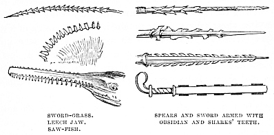 Image unavailable: SWORD-GRASS. LEECH JAW. SAW-FISH.
SPEARS AND SWORD ARMED WITH OBSIDIAN AND SHARKS’ TEETH.