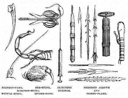 Image unavailable: SERPENT-FANG.
BEE-STING.
SCORPION-STING.
NETTLE-STING.
SPIDER-FANG.
INJECTING SYRINGE.
POISONED ARROWS AND POISON-FLASK.