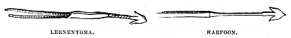 Image unavailable: LERNENTOMA.
HARPOON.