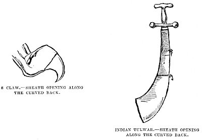 Image unavailable: 8 CLAW.&mdash;SHEATH OPENING ALONG THE CURVED BACK.