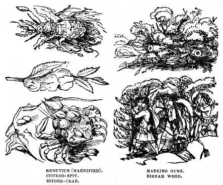 Image unavailable: REDUVIUS (MAGNIFIED).
CUCKOO-SPIT.
SPIDER-CRAB.
MASKING GUNS.
BIRNAM WOOD.