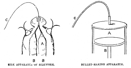 Image unavailable: SILK APPARATUS OF SILKWORM.
BULLET-MAKING APPARATUS.