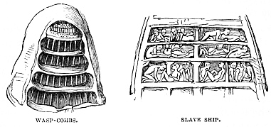 Image unavailable: WASP-COMBS.
SLAVE SHIP.