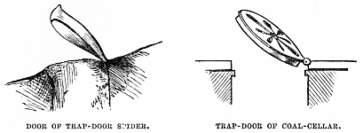 Image unavailable: DOOR OF TRAP-DOOR SPIDER.
TRAP-DOOR OF COAL-CELLAR.