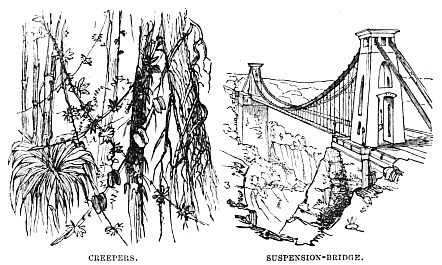 Image unavailable: CREEPERS.
SUSPENSION-BRIDGE.