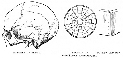 Image unavailable: SUTURES OF SKULL
SECTION OF EDDYSTONE LIGHTHOUSE
DOVETAILED BOX