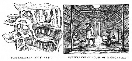 Image unavailable: SUBTERRANEAN ANTS’ NEST. SUBTERRANEAN HOUSE OF
KAMSCHATKA.