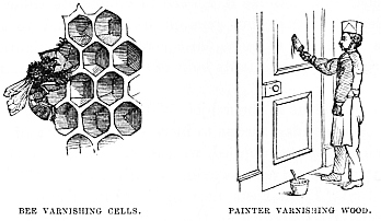 Image unavailable: BEE VARNISHING CELLS.
PAINTER VARNISHING WOOD.