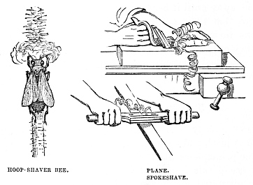 Image unavailable: HOOP-SHAVER BEE.
PLANE. SPOKESHAVE.