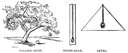 Image unavailable: FALLING FRUIT.
PLUMB-RULE.
LEVEL.