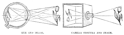 Image unavailable: EYE AND IMAGE.
CAMERA OBSCURA AND IMAGE.