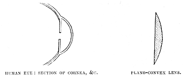 Image unavailable: HUMAN EYE: SECTION OF CORNEA, &C.
PLANO-CONVEX LENS.