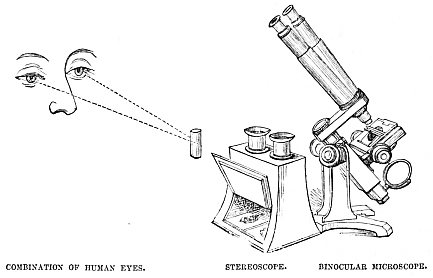 Image unavailable: COMBINATION OF HUMAN EYES.
STEREOSCOPE.
BINOCULAR MICROSCOPE.