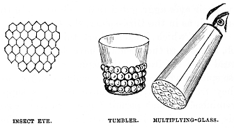 Image unavailable: INSECT EYE.
TUMBLER.
MULTIPLYING-GLASS.