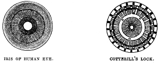 Image unavailable: IRIS OF HUMAN EVE.
COTTERILL’S LOCK.